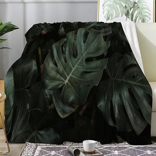 Fleecedecke Monstera geht Grün Kuscheldecke Flauschig Weich Wärme Gemütlich Pflegeleicht Flanell-Fleece Mikrofaser Deckeldecke 3D TV-Decken Sofaüberwurf Decke Wohndecke Geschenke (200X200 cm) von loyaltyer