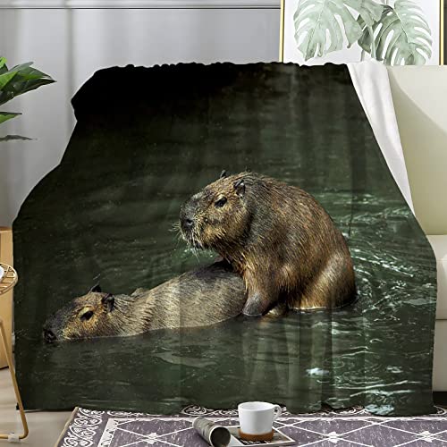 Kuscheldecke Braune Wasserschwein Gewichtsdecke Flauschig Weich und Warme Flanell Decke in Microfaser TV-Decken Sofadecke Wohndecke Picknickdecke, Langlebig Kinder Erwachsener Decke (130X150 cm) von loyaltyer