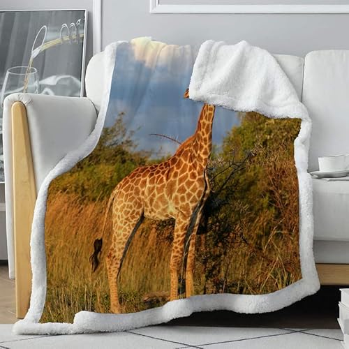 loyaltyer Decke 135x200 Gelbe Giraffe Kuscheldecke Flauschig Waschbar Gewichtsdecke Frauen Geschenke zum Geburtstag Hochzeitstag für Oma Mutter Tochter Kinder Winterdecke und Sommerdecke 135x200 cm von loyaltyer