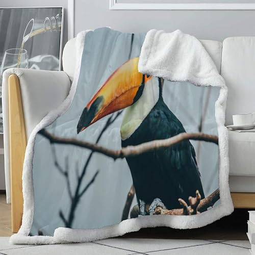 loyaltyer Decken grau, Tukan Wärmedecke Flauschig Schwere Gewichtete Fleecedecke Deko für Bett und Sofadecke Outdoor Ganzjahresdecke Hochwertige Wohndecke Große Kuscheldecke 160x240 cm von loyaltyer