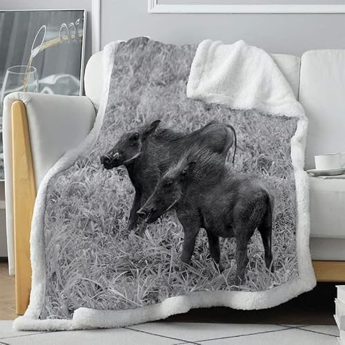 loyaltyer Fleecedecke Schwarzes Wildschwein Decke 160x200 cm Dicke Comfy Weiche Warme Sherpa Decken für Den Winter Herbst als Outdoor Camping Picknickdecke Sofa überwurfdecke TV Wohnzimmerdecke von loyaltyer