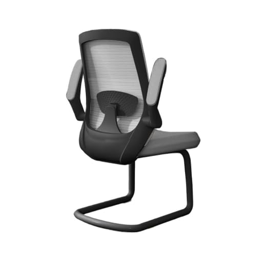 lskdnrufh Chefsessel mit verstellbaren Armlehnen und Metallkufengestell, Schreibtischstuhl mit hoher Rückenlehne und Netzgewebe for das Arbeitszimmer von Erwachsenen(Gray) von lskdnrufh