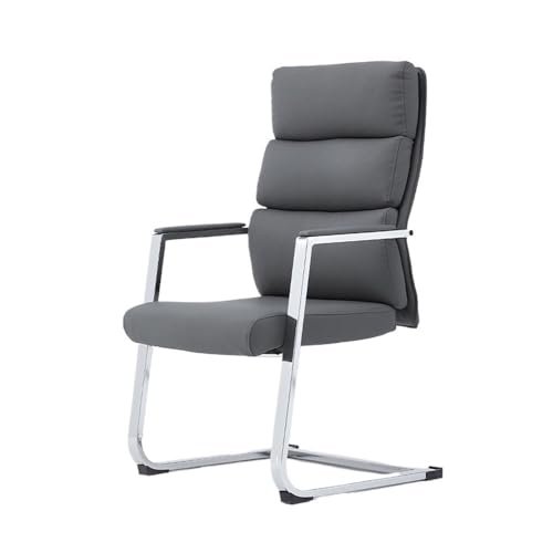 lskdnrufh Ergonomischer Bürostuhl ohne Rollen, Home-Office-Stuhl mit mittlerer Rückenlehne und Metall-Chrom-Finish(Gray) von lskdnrufh