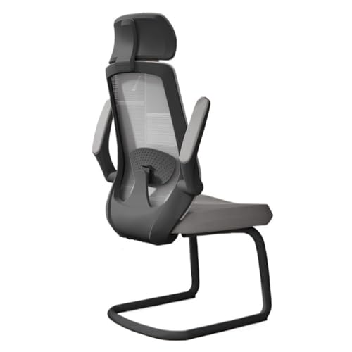 lskdnrufh Handlauf-Lendenwirbelstütze Executive Office Schreibtischstühle Ergonomischer Schreibtischstuhl Einstellbar(Gray) von lskdnrufh