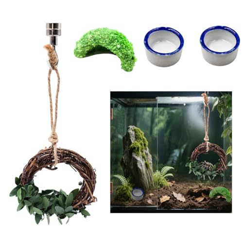 4er Set Springspinne Gehege Zubehör Springspinne Zubehör Gehege Lebensraum Dekor 2 Wasserschale 1 Rattan Schaukel 1 Little Green Hide von luchike