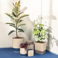 Pflanzentopf Selbstbewässernd Rund | Indoor Blumentopf Drehbar Geschenk Skandinavisch 3 Größen Made in Germany Pflanzentopf Selbstbewässernd Rund | Indoor Blumentopf Drehbar Geschenk Skandinavisch 3 Größen Made in Germany von lucid3dstudio