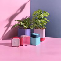 Farbenfroher Pflanzentopf Selbstbewässernd Rechteckig | Blumentopf Drehbar Geschenk Skandinavisch 3 Größen Made in Germany Farbenfroher Pflanzentopf Selbstbewässernd Rechteckig | Blumentopf Drehbar Geschenk Skandinavisch 3 Größen Made in Germany von lucidstudioDE