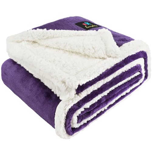 luciphia wasserdichte Hundedecke, Hunde Decke für Hund Katzen Groß Waschbar, Haustierdecke Wasserfeste Flauschig Sherpa Fleece, Wasserdicht Decke für Sofa Couch Bett, Violett S (71 * 102cm) von luciphia