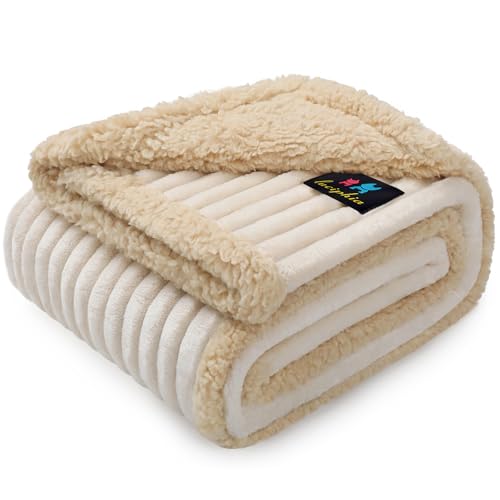 luciphia wasserdichte Hundedecke Waschbar, Haustier Decke für Hund Katzen Welpe, Kuscheldecke Weich Flaushig Sherpa Fleece, Katzendecke Mittelgroße Große für Bett Sofa Couch, Beige（145 * 165cm） von luciphia