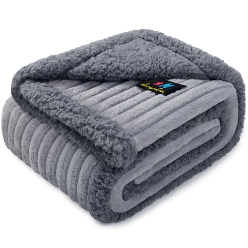 luciphia wasserdichte Hundedecke Waschbar, Haustier Decke für Hund Katzen Welpe, Kuscheldecke Weich Flaushig Sherpa Fleece, Katzendecke Mittelgroße Große für Bett Sofa Couch, Grau（71 * 102cm） von luciphia