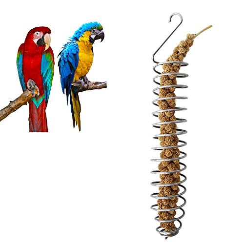 luckything Papagei Vogel Futterkorb, Obst und Gemüsehalter Edelstahl Papagei Hängend Obst Feeder Gemüse Hirse Halter Vögel Käfig Füttern Zubehör Weizen Ohr Obst Gemüse Feeder Hängende Vogelhäuschen von Sixyear