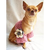 Gehäkelter Shrug, Hundepullover Gehäkelt, Für Hunde Shrug Mit Blume Gehäkelter Shrug, Hundepullover Gehäkelt, Für Hunde Shrug Mit Blume von lukesmom6