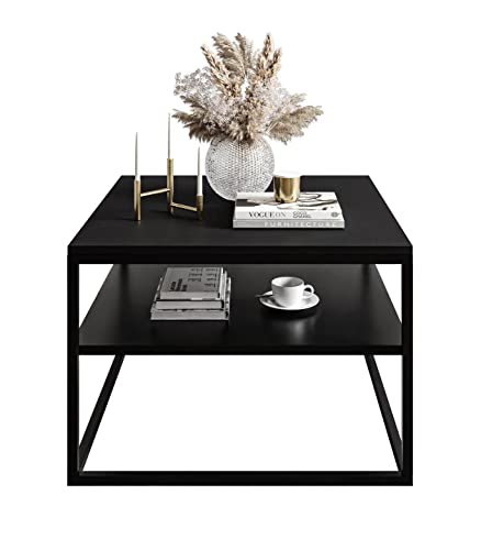 lukmebel Couchtisch Nova mit Regal Modern für Loft-Räume Pulverbeschichteter Edelstahl 16mm Tischplatte 68,5x68,5x48cm Ergonomisch Bequem Schwarz/Schwarz Matt von lukmebel