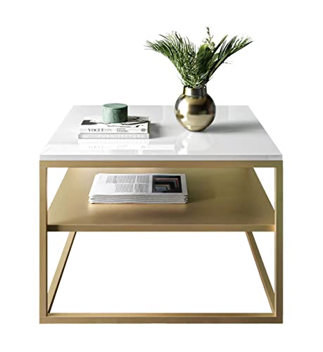 lukmebel Couchtisch Nova mit Regal Modern für Loft-Räume Pulverbeschichteter Edelstahl 17mm Tischplatte 68,5x68,5x48cm Ergonomisch Bequem Gold Matt/Weiß Glänzend von lukmebel