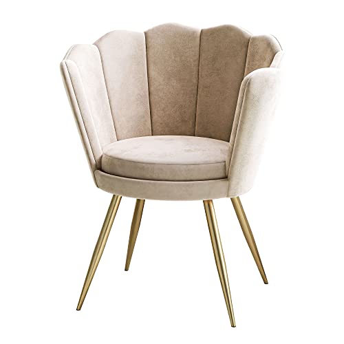 lukmebel Shell Polstersessel Shelly Elegantes Und Modernes Design Weich Im Griff Velours Vertikale Nähte Für Schönheitssalons Wohn- Und Schlafzimmer 66x56x84 cm Beige von lukmebel