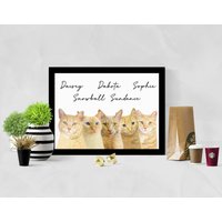 5 Katzen Portraits Nach Foto. Tierportrait Personalisierte Leinwand. Personalisiertes Katzen - Oder Hundeportrait 5 Katzen Portraits Nach Foto. Tierportrait Personalisierte Leinwand. Personalisiertes Katzen - Oder Hundeportrait von lumetri