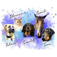 Porträt Von 5 Haustieren, Mehrere Haustiere, Geschenk Für Tierliebhaber, Digitales Haustierporträt, Gemälde Vom Foto, Individuelles Porträt von lumetri