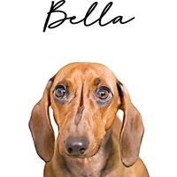 Tierportrait | Benutzerdefinierte Zeichnung Haustier Illustration Geschenk Für Ihn Eltern Hundeportrait von lumetri