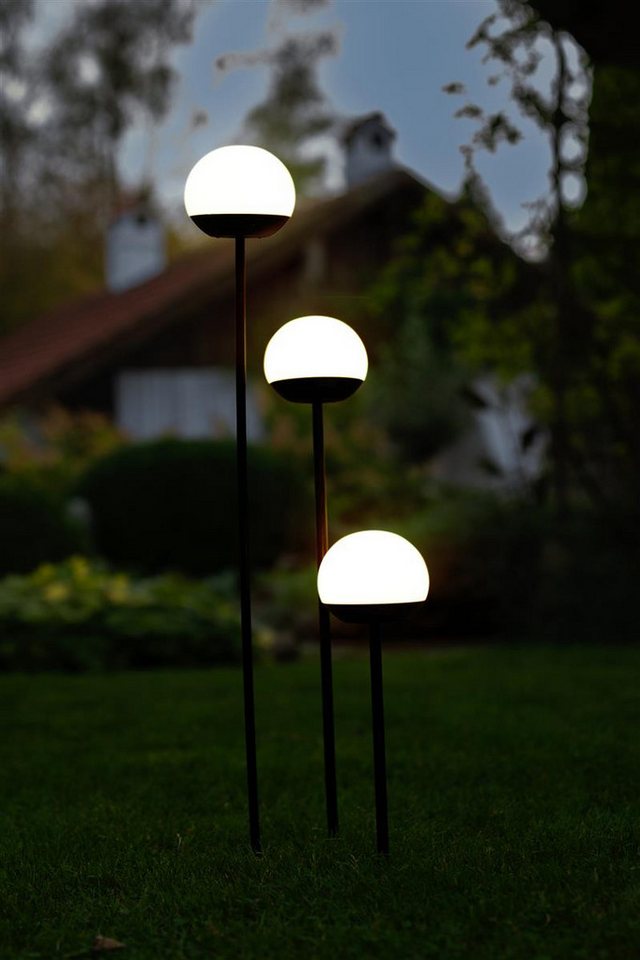 lumix LED Solarleuchte LUMIX Solar Flower Pompom, Farbwechsel, LED, Farbwechsel, Kaltweiß, Warmweiß, Solarlampe mit innenliegendem Solarpanel lumix LED Solarleuchte LUMIX Solar Flower Pompom, Farbwechsel, LED, Farbwechsel, Kaltweiß, Warmweiß, Solarlampe mit innenliegendem Solarpanel von lumix
