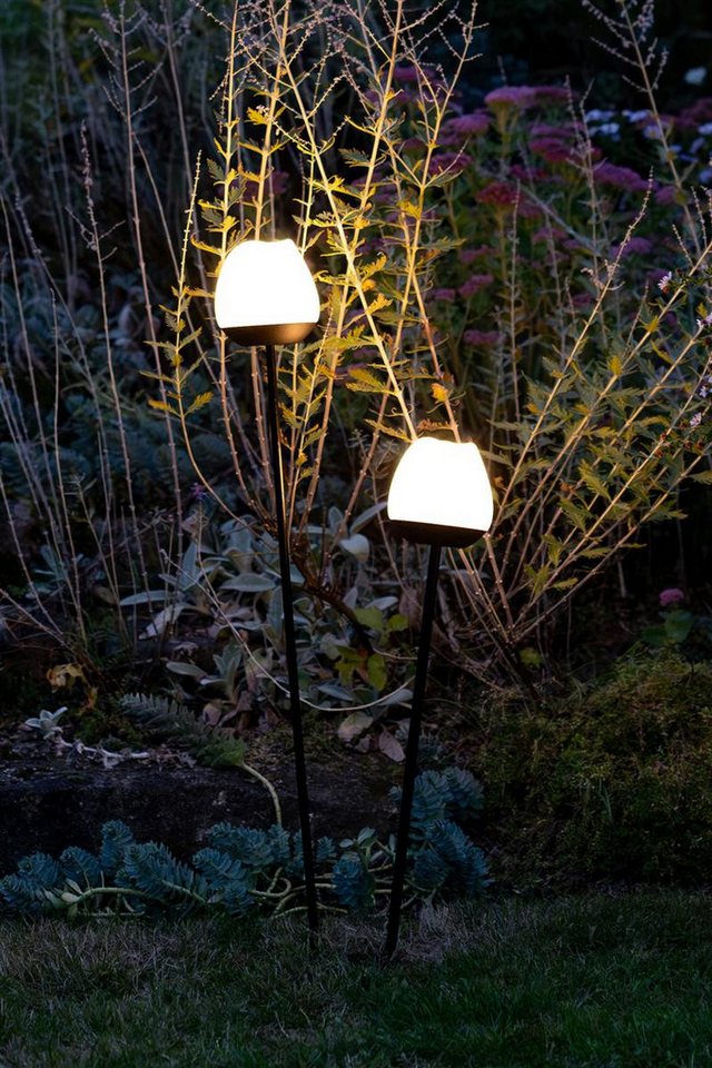 lumix LED Solarleuchte LUMIX Solar Flower Rosy, Farbwechsel, LED, Farbwechsel, Kaltweiß, Warmweiß, Solarlampe mit innenliegendem Solarpanel lumix LED Solarleuchte LUMIX Solar Flower Rosy, Farbwechsel, LED, Farbwechsel, Kaltweiß, Warmweiß, Solarlampe mit innenliegendem Solarpanel von lumix