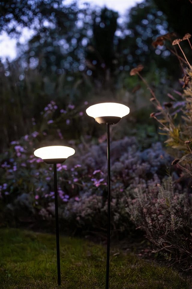 lumix LED Solarleuchte LUMIX Solar Flower Sunny, Farbwechsel, LED, Warmweiß, Kaltweiß, Farbwechsel, Solarlampe mit innenliegendem Solarpanel lumix LED Solarleuchte LUMIX Solar Flower Sunny, Farbwechsel, LED, Warmweiß, Kaltweiß, Farbwechsel, Solarlampe mit innenliegendem Solarpanel von lumix