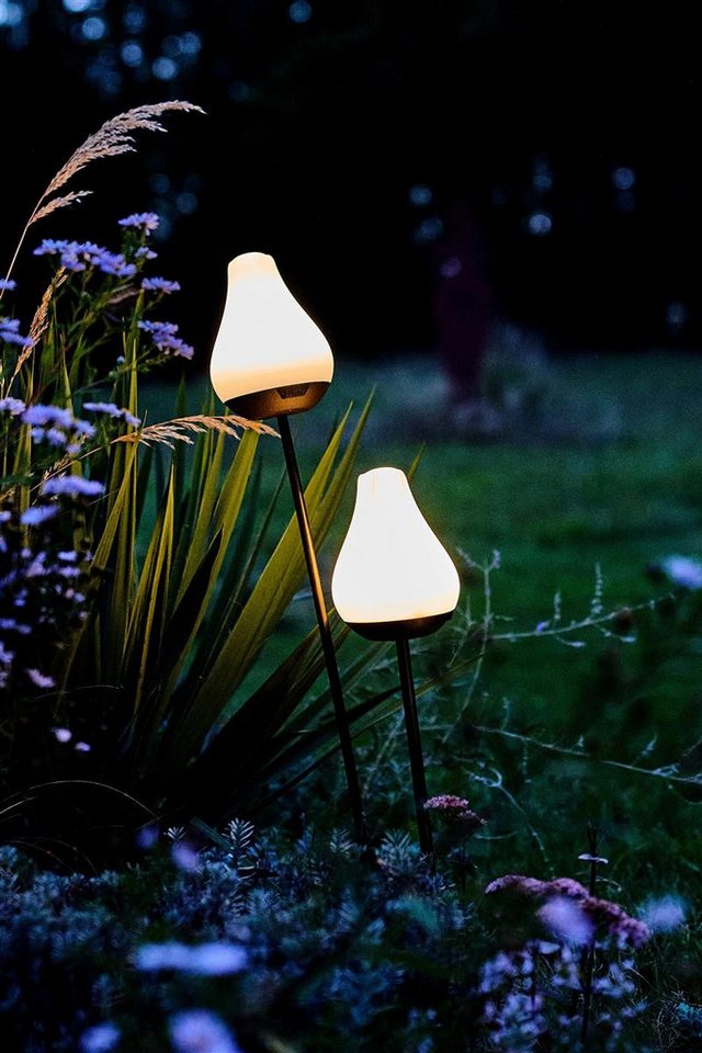 lumix LED Solarleuchte LUMIX Solar Flower Tulip, Farbwechsel, LED, Farbwechsel, Kaltweiß, Warmweiß, Solarlampe mit innenliegendem Solarpanel lumix LED Solarleuchte LUMIX Solar Flower Tulip, Farbwechsel, LED, Farbwechsel, Kaltweiß, Warmweiß, Solarlampe mit innenliegendem Solarpanel von lumix