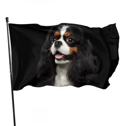 Portrait Cavalier King Charles Spaniel Hund,lustige Flaggen für Erwachsene,moderner Flaggenständer,3x5 FT,leuchtende Farben,Polyester und Messingösen von luoheyinbangshangmaoyouxiangongsi