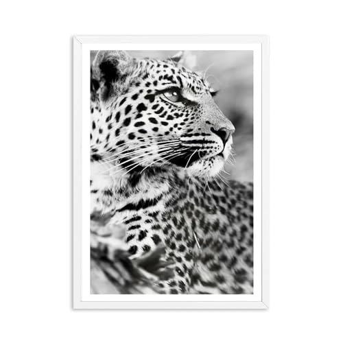 Cheetah leopard poster und druckt schwarz weiß tier wandkunst leinwand malerei wandbilder für wohnzimmer wohnkultur(A,30x40cm No Frame) von luose