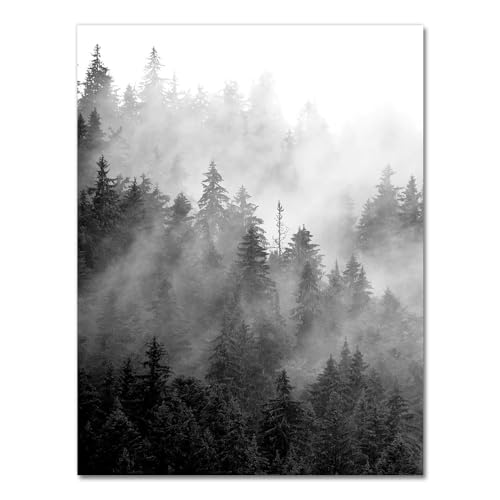 Natur druckt wald wandkunst schwarz und weiß baum poster neblig wald landschaft leinwand malerei wandbild wohnkultur (Color : 3448-01, Size : 50x70cm No Frame) von luose