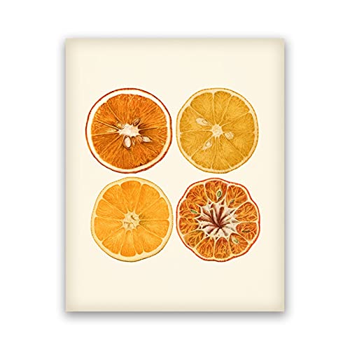 Orange Zitrus Leinwand Malerei Poster Drucke Obst Orange Scheibe Vintage Küche Wand Kunst Home Dekoration Rahmenlos (Color : A, Size : 30x40 cm No Frame) von luose