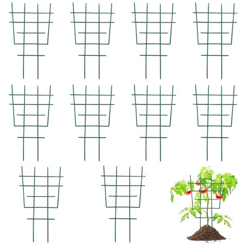 10 Stück Rankhilfe Zimmerpflanzen Rankgitter Kunststoff Pflanzen Spalier Pflanzgitter Garten Pflanzenstütze Rankgitter Rankhilfe Pflanzengitter für Kletterpflanzen Gartenpflanzen Rattanpflanzen von lurora2021