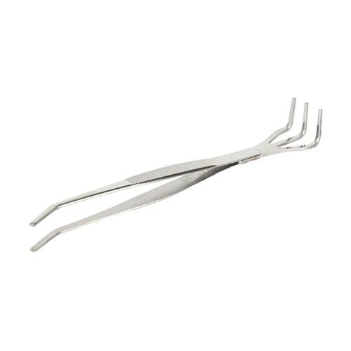 Lvifloae Edelstahl Bonsai Tool Bonsai Wurzel Rake Premium Dauerhaft 2 in 1 Multifunktionaler Wurzelrake und Pinzetten für Gartenbegeisterte Anfänger Silber 8,3 Zoll Lvifloae Edelstahl Bonsai Tool Bonsai Wurzel Rake Premium Dauerhaft 2 in 1 Multifunktionaler Wurzelrake und Pinzetten für Gartenbegeisterte Anfänger Silber 8,3 Zoll von lvifloae