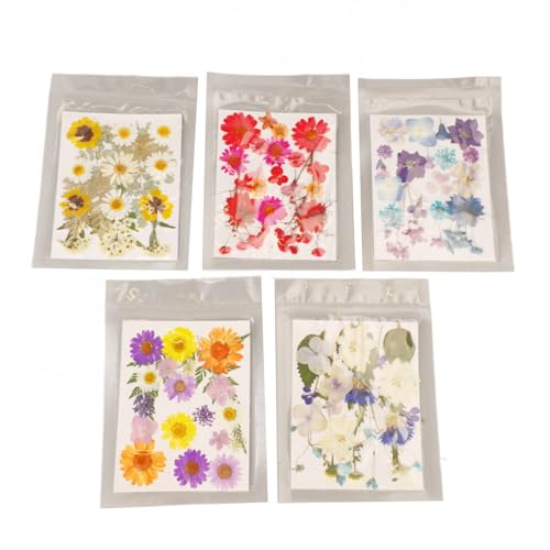 lvifloae 100 pcs getrocknete gepresste Blumen Blütenblätter Lesezeichen Prägienpaket Paket Real Pressed Flowers Kit Bulk Drop -Kleber -Imitation Pflanzenprobe für DIY Crafts Harz (Typ 1) von lvifloae