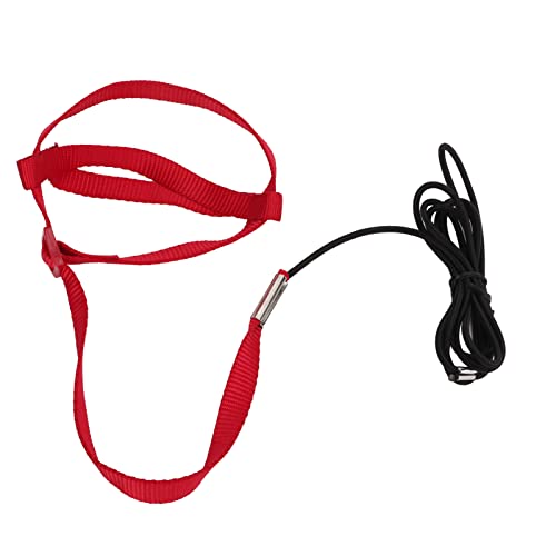 lvifloae elastischer Papageienkabelbaum Leine Vogel Leine Bite Proof Aviator -Gurt Verstellbares Papagei Flugtraining Seil mit Metal Hook Nylon Gurtband für Kakadiantwanderungen (L) von lvifloae