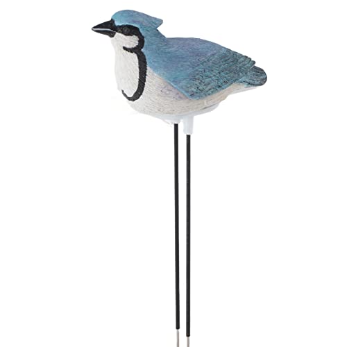 lvifloae niedlich genaues Bodentestersensor -Messgerät Hygrometer Pieping Alarm Vegetation Feuchtigkeit Tester Vegetationstest Alarm Vogel Form Automatischer optischer Sensor lvifloae niedlich genaues Bodentestersensor -Messgerät Hygrometer Pieping Alarm Vegetation Feuchtigkeit Tester Vegetationstest Alarm Vogel Form Automatischer optischer Sensor von lvifloae