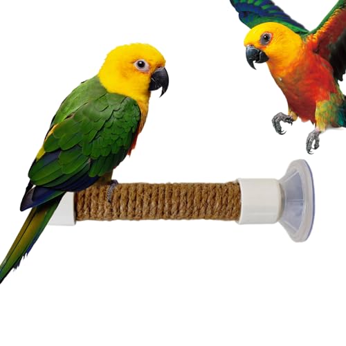 lyanny -Dusch Sitzstange,Ständer Für Sittiche In Der Dusche | Vogel Sitzstange Mit Saugnapf Tragbares Käfig Zubehör Für Kakadus Und Sittiche Training Und Fenster Spiegel lyanny -Dusch Sitzstange,Ständer Für Sittiche In Der Dusche | Vogel Sitzstange Mit Saugnapf Tragbares Käfig Zubehör Für Kakadus Und Sittiche Training Und Fenster Spiegel von lyanny