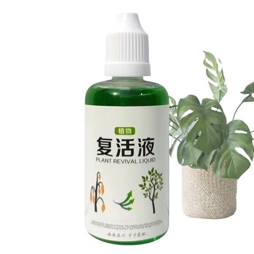 lyanny Wurzelstimulator Für Pflanzen - Organischer Nährstoffdünger Für Wurzeln - 50ml Biologische Lösung Schnelles Wachstum Sicher Für Kompost Bäume Rosen Rasen Hydrokultur Tomaten Blumen Früchte von lyanny