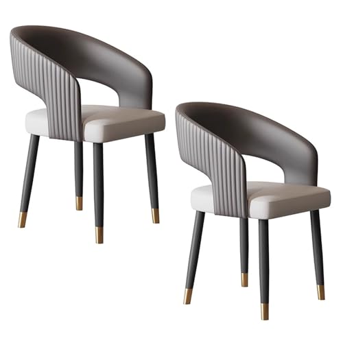 lyxamjrzyp Esszimmerstühle 2er Set, Ergonomischer Armlehnenstuhl, Bequeme Stühle für Wohnzimmer, Schlafzimmer oder Büro(Gray) von lyxamjrzyp