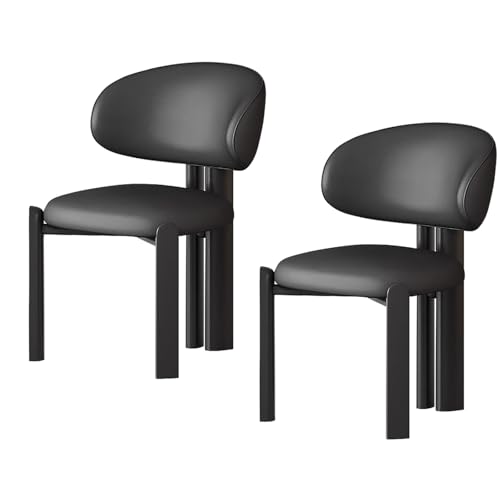 lyxamjrzyp Esszimmerstühle 2er Set, Moderne Polsterstühle aus Massivholz mit Ergonomischer Rückenlehne, Küchenstuhl, Esszimmerstuhl, Wohnzimmerstuhl(Black) von lyxamjrzyp