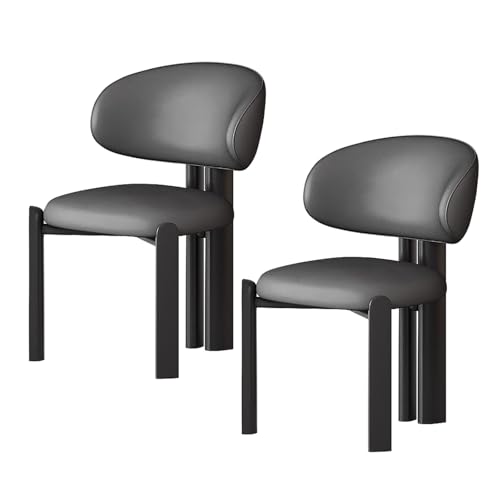 lyxamjrzyp Esszimmerstühle 2er Set, Moderne Polsterstühle aus Massivholz mit Ergonomischer Rückenlehne, Küchenstuhl, Esszimmerstuhl, Wohnzimmerstuhl(Dark Gray+Black) von lyxamjrzyp