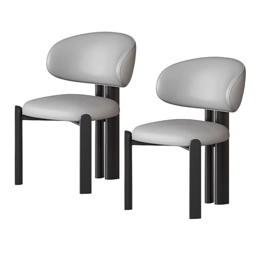 lyxamjrzyp Esszimmerstühle 2er Set, Moderne Polsterstühle aus Massivholz mit Ergonomischer Rückenlehne, Küchenstuhl, Esszimmerstuhl, Wohnzimmerstuhl(Light Gray+Black) von lyxamjrzyp