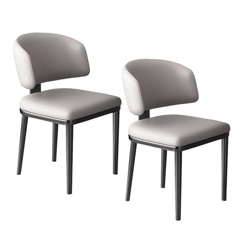 lyxamjrzyp Esszimmerstühle Set 2 Stück, Moderne Gepolsterte Esszimmerstühle, Kunstleder Stühle für Küche, Esszimmer, Wohnzimmer, Zuhause(Medium Gray) von lyxamjrzyp