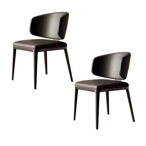 lyxamjrzyp Moderne Esszimmerstühle 2er Set, Katzenkrallen Leder Essstuhl, Bequeme Gepolsterte Sitzfläche, Ergonomisch für Küche, Wohnzimmer oder Schlafzimmer(Black) von lyxamjrzyp
