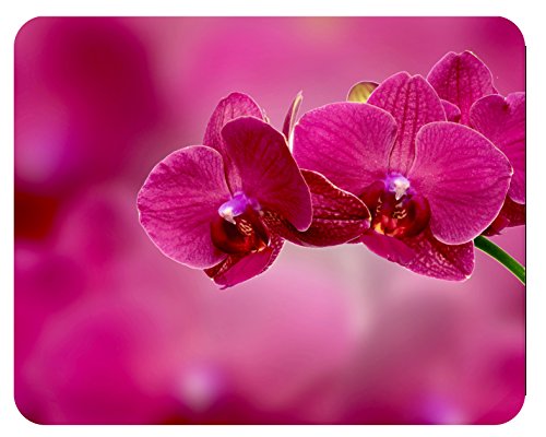 m. kern Mousepad Orchidee pink von m. kern