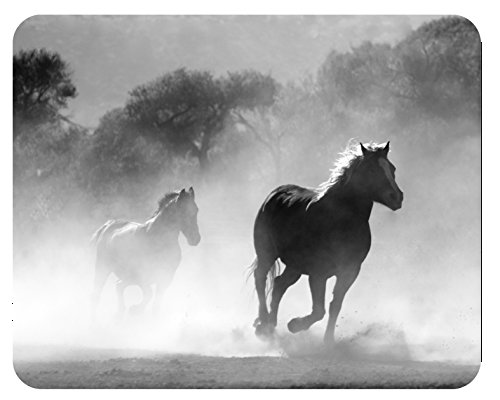 m. kern Mousepad Pferde Weide m. kern Mousepad Pferde Weide von m. kern