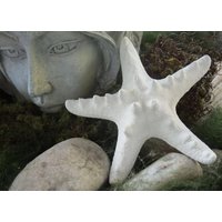 Raumduft, Duftstein, Seestern Weiß , Air Freshener Car Flower, Diffuser, Interior Decor, Room Fragrance Stones von mArteShop