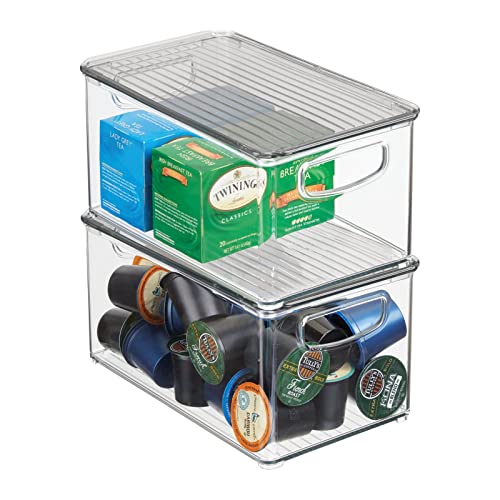 mDesign 2er-Set Aufbewahrungsbox mit Griffen – Kühlschrankbox mit Deckel zur Lebensmittelaufbewahrung – Ablage aus BPA-freiem Kunststoff für den Küchen- oder Kühlschrank – durchsichtig/grau von mDesign