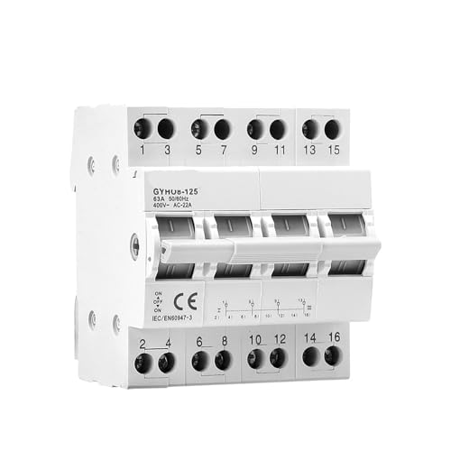 1P-4P 40A 63A Din-Schiene Modular Dual Power Manueller Transferschalter Umwandlung Isolieren Haus Hauptschalter Leistungsschalter(2P,63A) von mXCDtRptJ