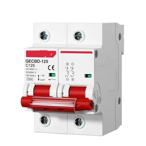 2P DC 1000V MCB 80A 100A 125A Circuit breaker for PV System C kurve Batterie Haupt Schalter(100A) von mXCDtRptJ