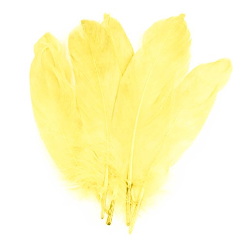 20 Enten-Federn 15-21cm Bastelfedern Federn f. Basteln Dekoration Hüte Kostüme, Farbe:gelb von maDDma